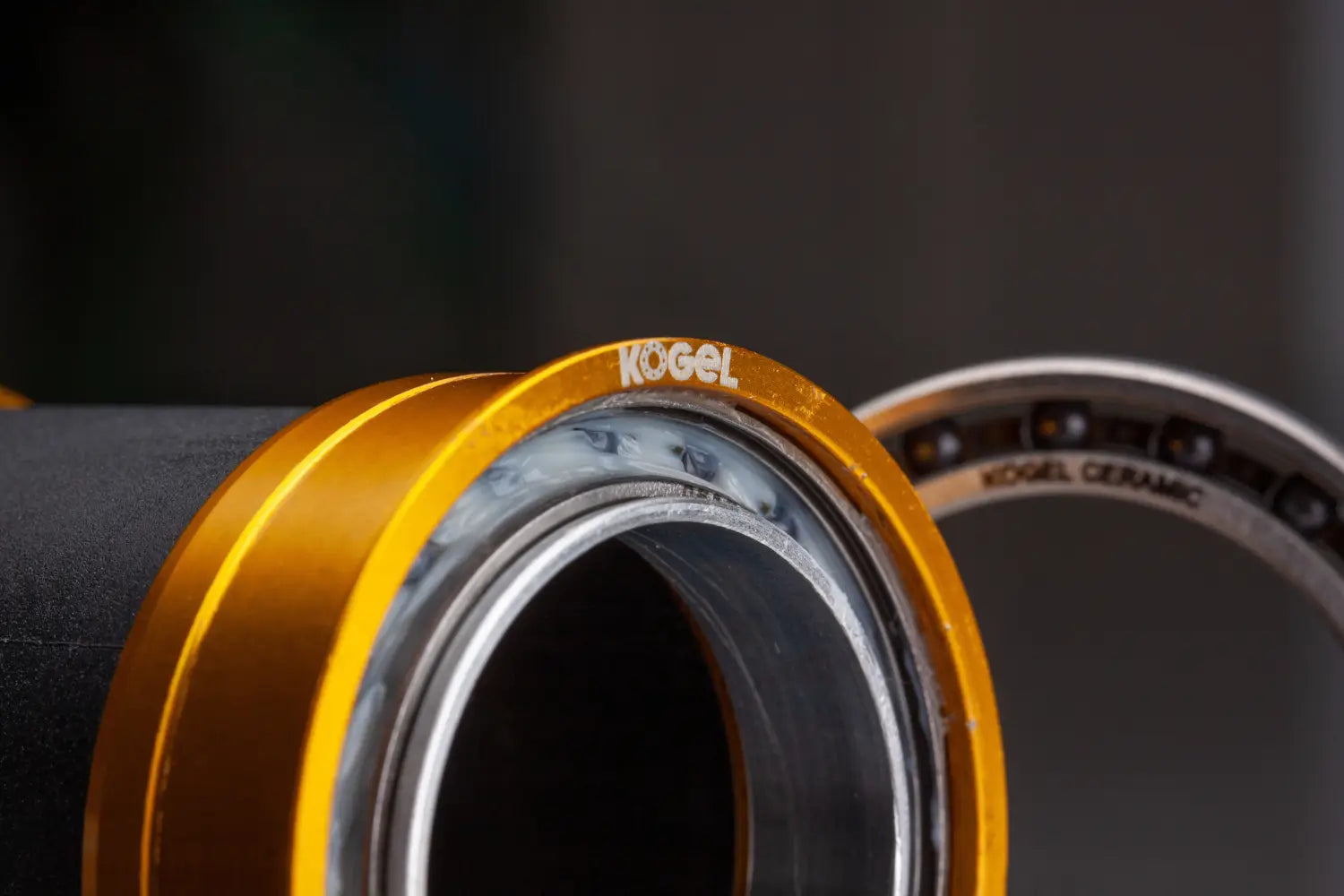 Introducing Kogel CR - Corrosion Resistant Ceramic Bearings for bicycles